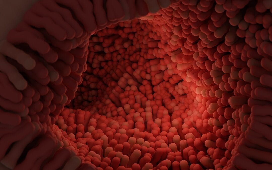 Saúde intestinal: O segredo que você nunca ouviu falar