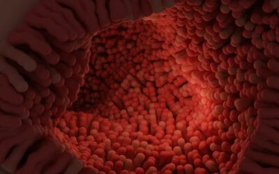 Saúde intestinal: O segredo que você nunca ouviu falar